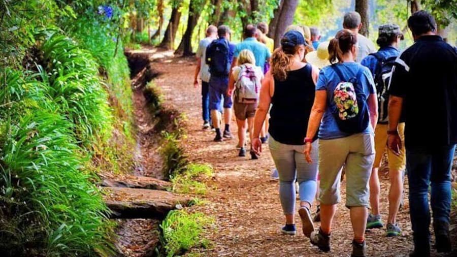 Agadir or Taghazout Paradise Valley Hiking + Breakfast with Fatim