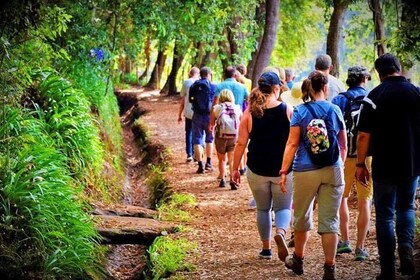 Excursión de medio día a Paradise Valley desde Agadir y Desayuno local