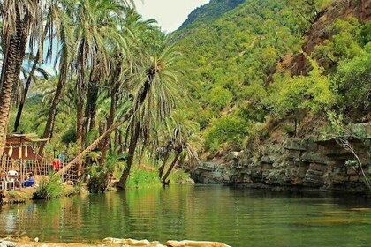 Agadir/Tamraght/Taghazout: Paradise Valley Atlas Tour & Breakfast