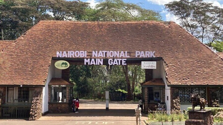 Nairobi National Park Half-Day Game Drive With Free Pick Up
