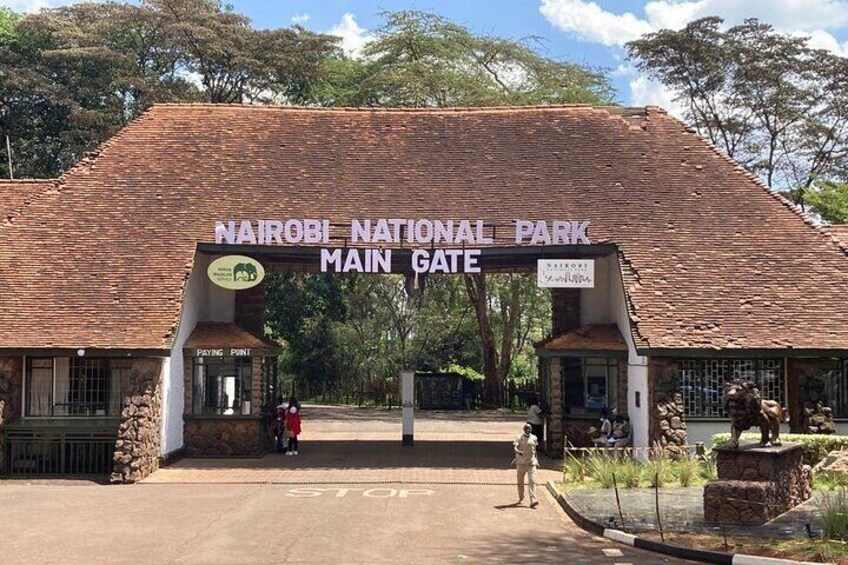 Nairobi National Park Half-Day Game Drive With Free Pick Up