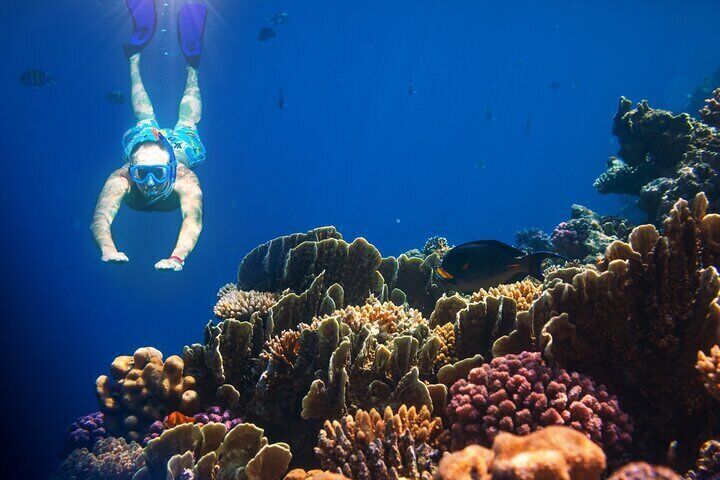 Bali Snorkling Blue Lagoon Beach with Lunch & Private Transport