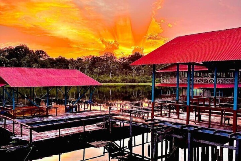 Lodge Selva