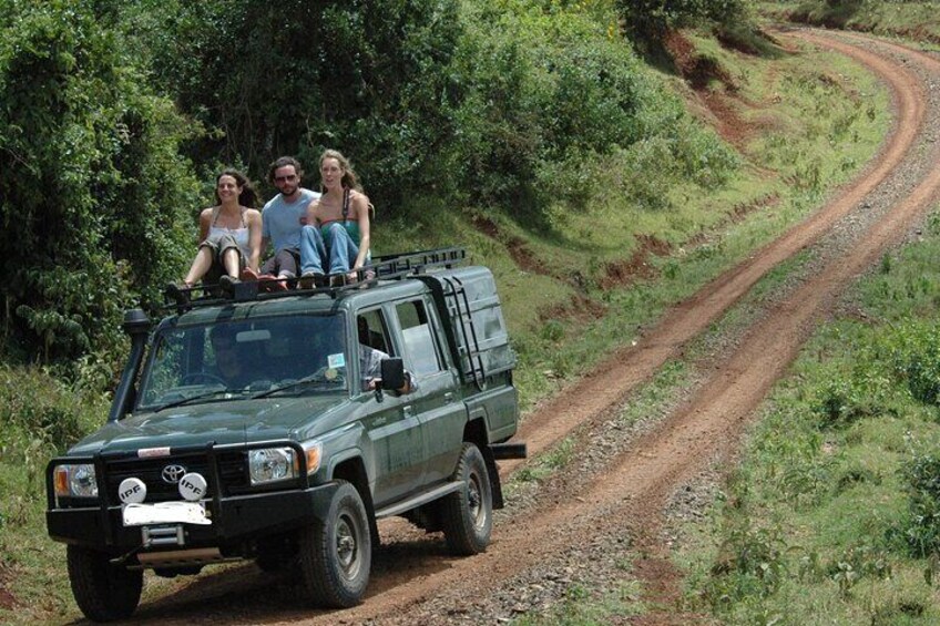 Scenic Day Trip to Aberdares National Park