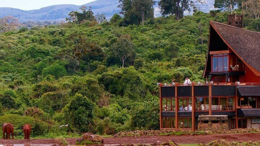 Scenic Day Trip to Aberdares National Park