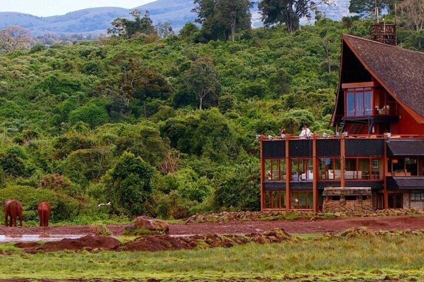 Scenic Day Trip to Aberdares National Park