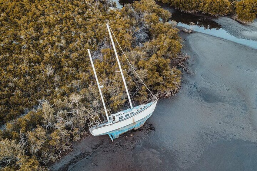Sea Kayak Tour Mangrove Safari