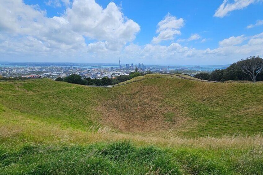 Auckland City Small Group Private Tour