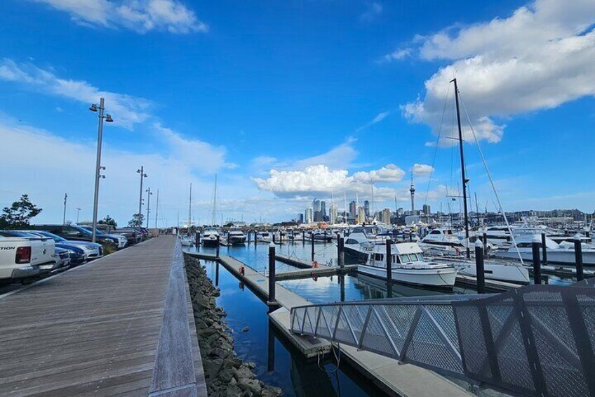 Auckland City Small Group Private Tour