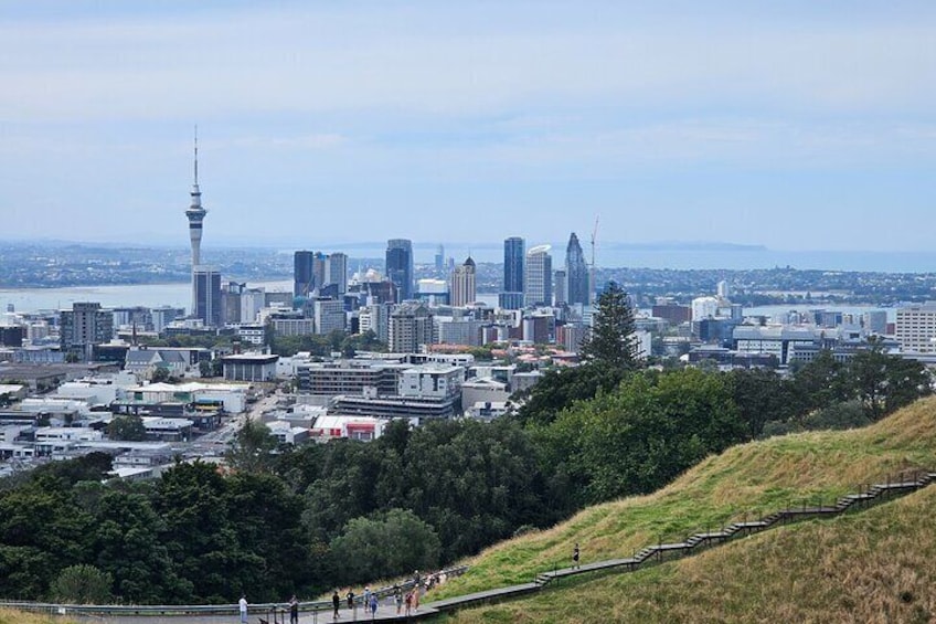 Auckland City Small Group Private Tour