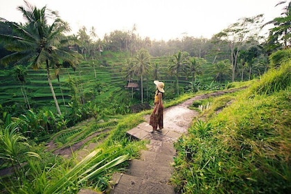 Experience Bali in 3 Days with Temples Beaches & Waterfalls