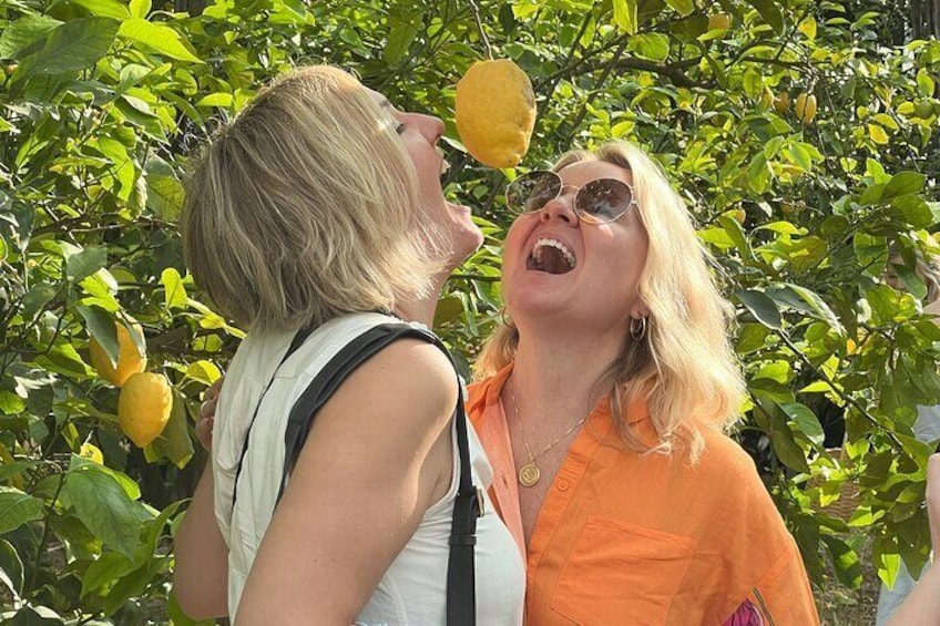 Lemon Picking Adventure in Sorrento