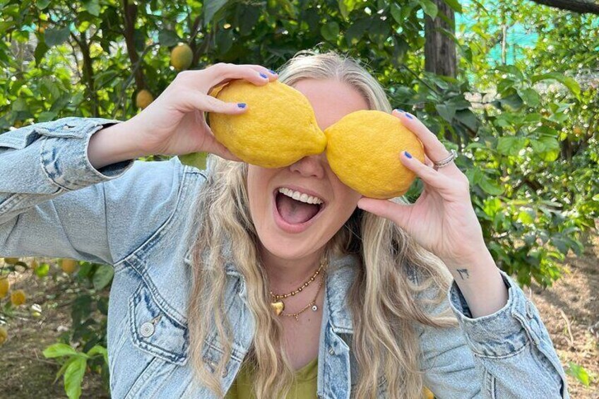 Sorrento: Lemon Picking Tour & Limoncello Tasting