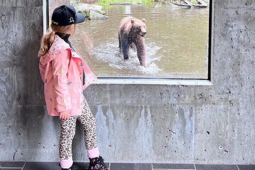 Viewing windows at Fortress of the Bear