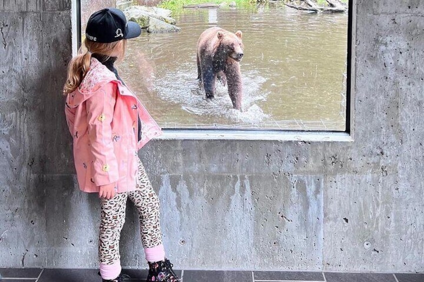 Viewing windows at Fortress of the Bear