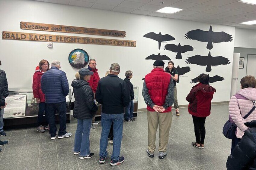 Educational "bird talk" at Alaska Raptor Center