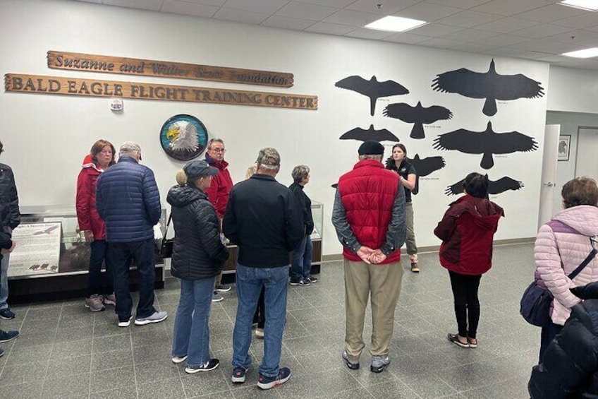 Educational "bird talk" at Alaska Raptor Center