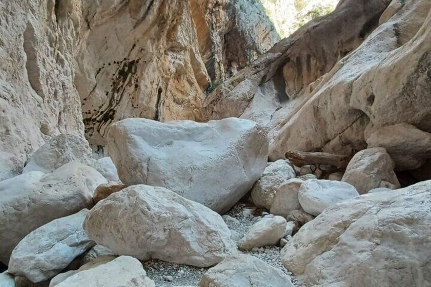 Trekking in the Gorropu Canyon from Urzulei