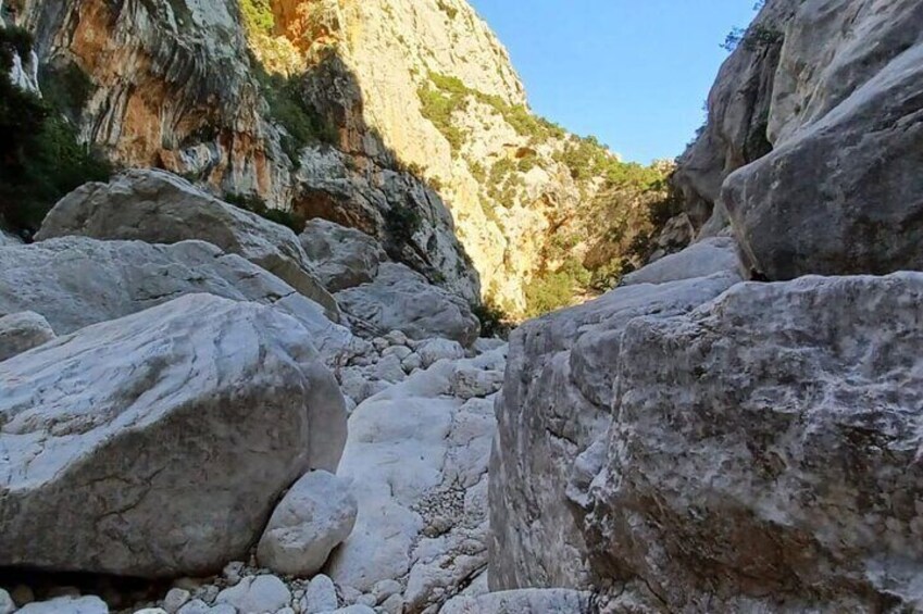 Trekking in the Gorropu Canyon from Urzulei