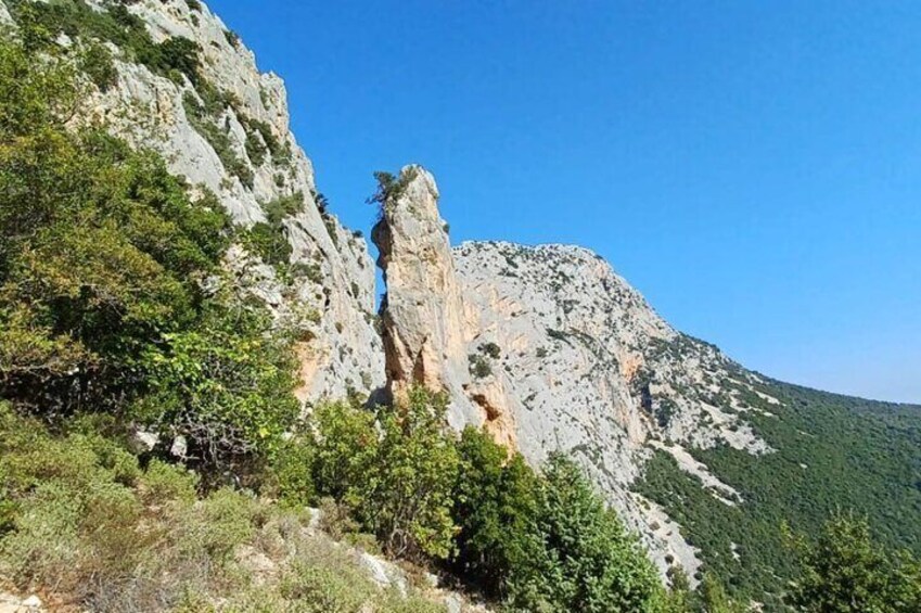 Trekking in the Gorropu Canyon from Urzulei