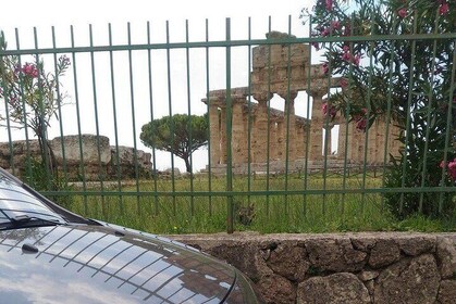 Skip the line Paestum Greek Temples guided visit