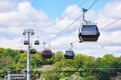 Explore DMZ from Seoul +(optional) Gondola/Red Suspension Bridge