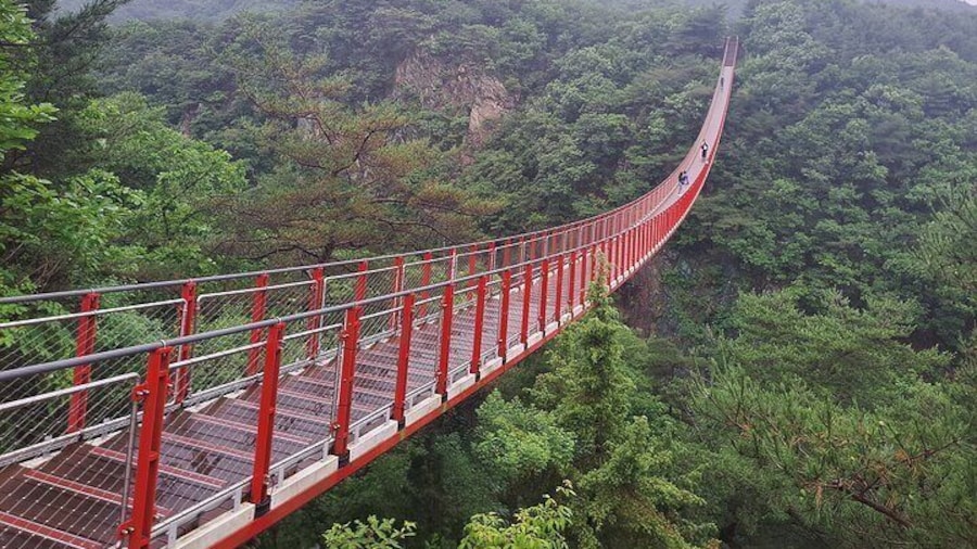 Mt. Gamak Suspension Bridge