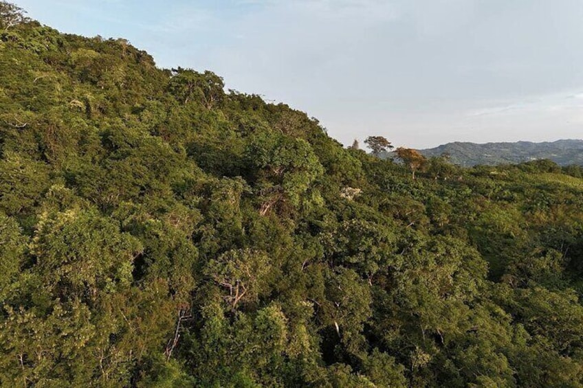 Wildlife Encounter in Cartagena Villanueva by ATV