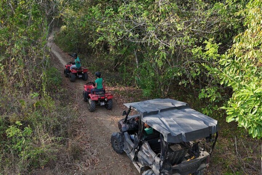 Wildlife Encounter in Cartagena Villanueva by ATV