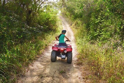 Wildlife Encounter in Cartagena Villanueva by quad bike