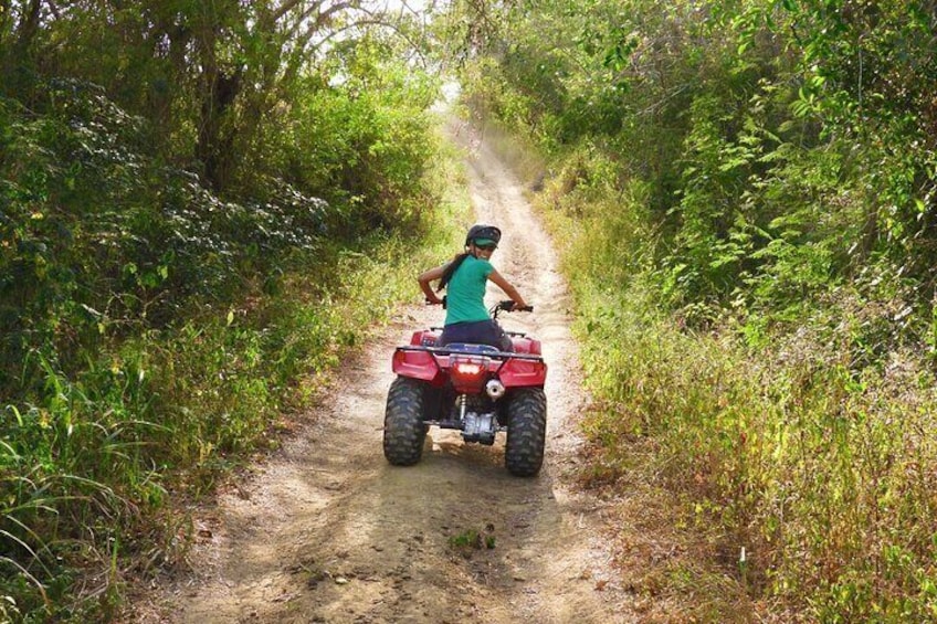Wildlife Encounter in Cartagena Villanueva by ATV