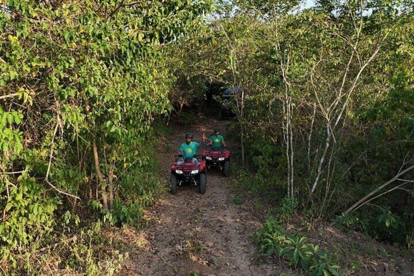 Wildlife Encounter in Cartagena Villanueva by ATV