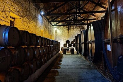 Douro Valley Pinhao Quinta da Foz Tour and Tasting 5 Wines