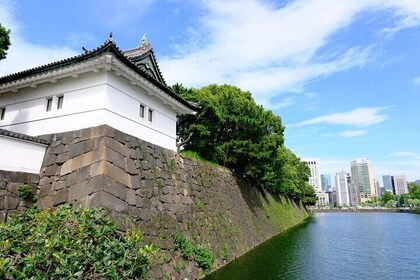 Tokyo Tour Imperial Palace, Sake, Robots, Gardens and Edo Museum