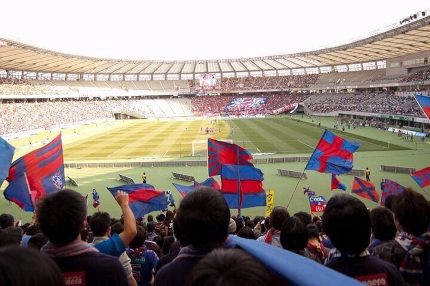Baseball or Soccer Match Tour with Local Guide in Tokyo
