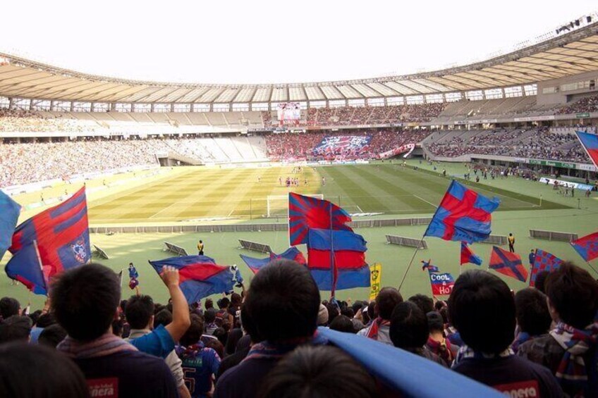 Baseball or Soccer Match Tour with Local Guide in Tokyo