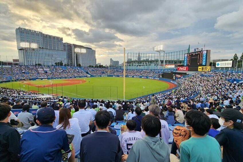 Baseball or Soccer Match Tour with Local Guide in Tokyo