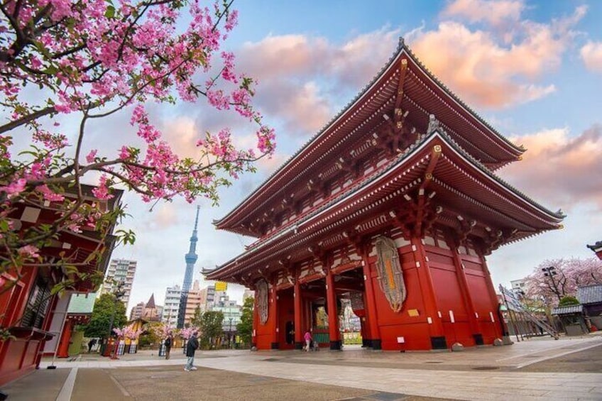 Tokyo Full Day Private City Tour