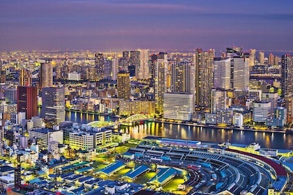 Tokyo Full Day Private City Tour