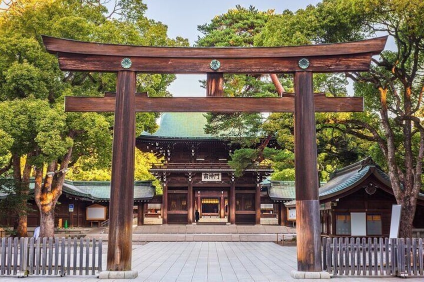 Tokyo Full Day Private City Tour