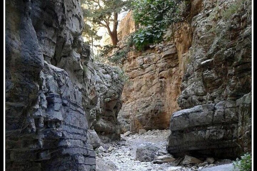 Imbros Gorge and Libyan Sea Day Tour From Chania