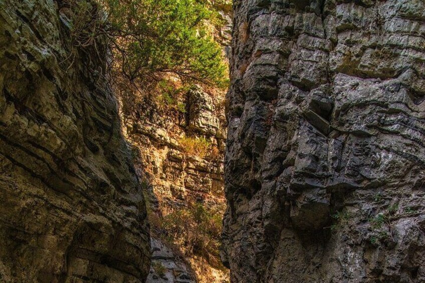 Imbros Gorge and Libyan Sea Day Tour From Chania