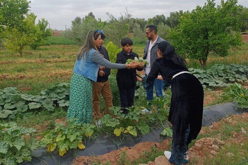 Best Farm-to-Table Moroccan Cooking Class Experience in Marrakech