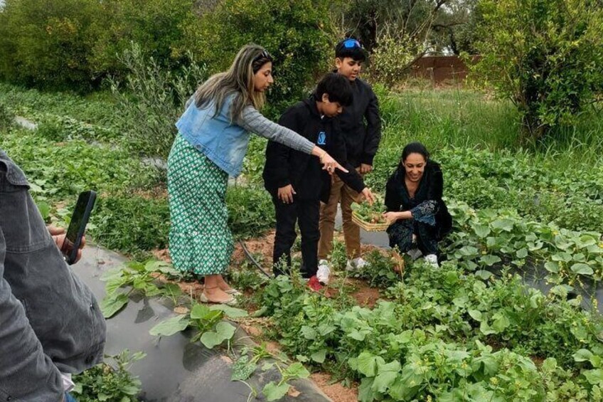 Best Farm-to-Table Moroccan Cooking Class Experience in Marrakech