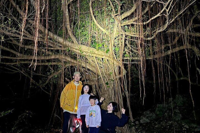 Okinawa and Miyako Starry Sky Jungle Exploration Tour
