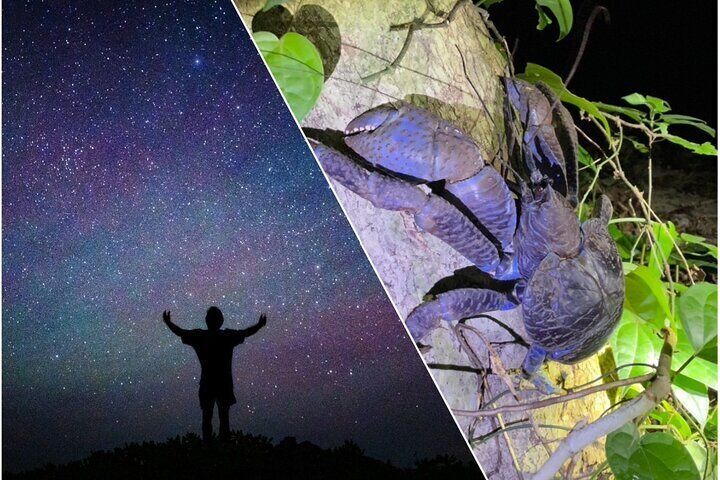 Okinawa Miyako Jungle&Starry Sky tour Free Pick up and Drop off