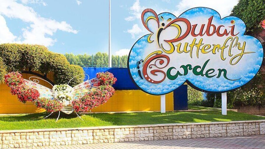 Step into a magical world of 15,000 butterflies inside Dubai Butterfly Garden, the largest covered butterfly park in the world