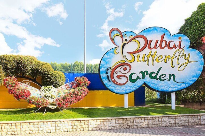 Step into a magical world of 15,000 butterflies inside Dubai Butterfly Garden, the largest covered butterfly park in the world