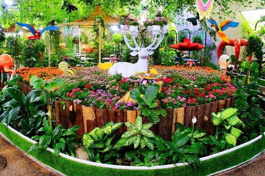  Capture breathtaking moments as colorful butterflies land gently on your hand in this enchanting garden