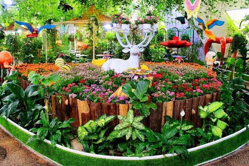Capture breathtaking moments as colorful butterflies land gently on your hand in this enchanting garden